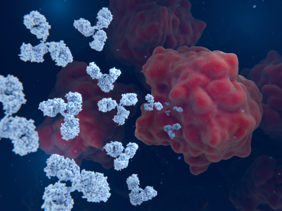 분자 구조 일러스트