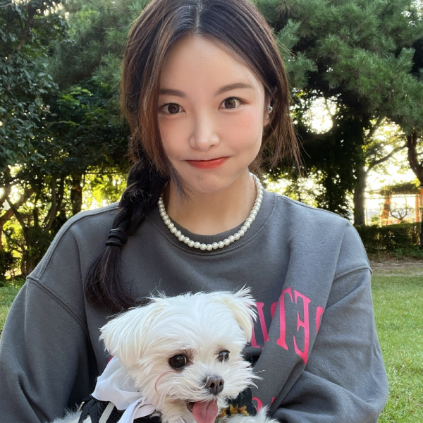 갤러리 이미지